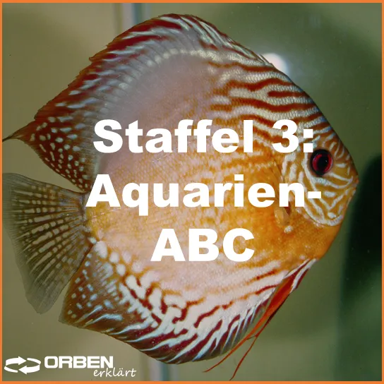Orben Wasseraufbereitung I Aquarien-ABC