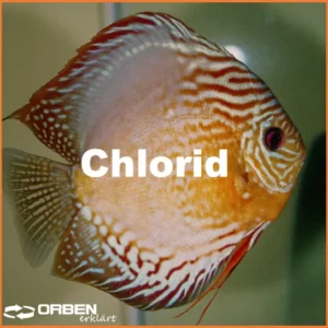 Orben Wasseraufbereitung I Chlorid