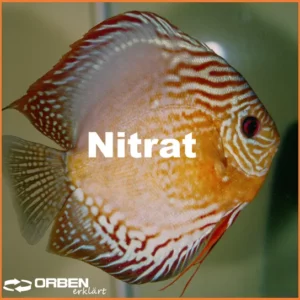 Orben I Nitrat